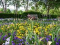 Flower garden